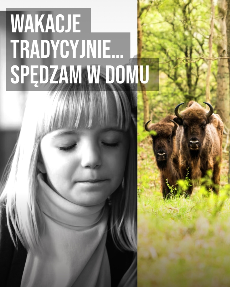 Czarno-białe zdjęcie rozmarzonej dziewczynki z zamkniętymi oczami opartej o ścianę połączone z kolorowym zdjęciem żubrów stojących w lesie.